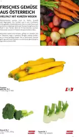 Transgourmet Flugblatt Seite 15