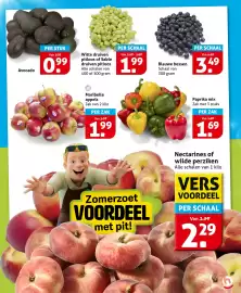 Hoogvliet folder week 28 Pagina 9