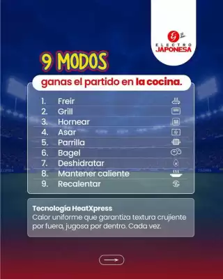 Electrojaponesa (válido hasta 18-07)