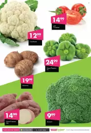 Save catalogue Page 5