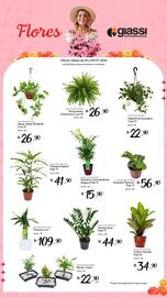 Encarte Giassi Supermercados semana 27 Página 2
