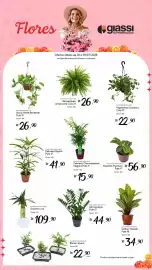 Encarte Giassi Supermercados semana 27 Página 2