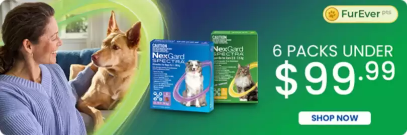 Budget Pet Products catalogue Page 2