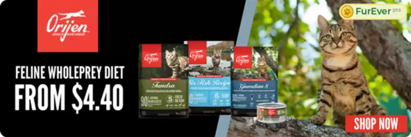 Budget Pet Products catalogue Page 3