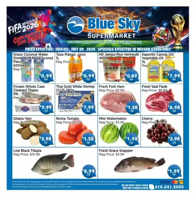 Blue Sky (valid until 9-07)