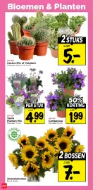 Vomar Voordeelmarkt folder week 28 Pagina 32