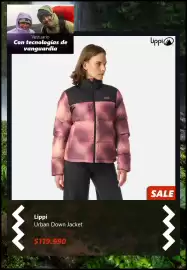 Catálogo Lippi Página 4