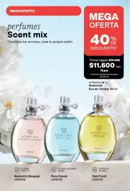 Catálogo Avon Página 181