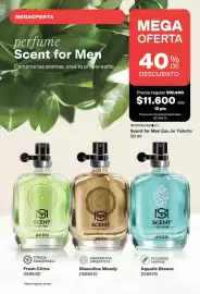 Catálogo Avon Página 183