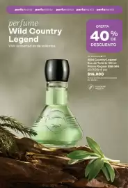 Catálogo Avon Página 99