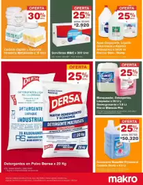 Catálogo Makro semana 28 Página 8