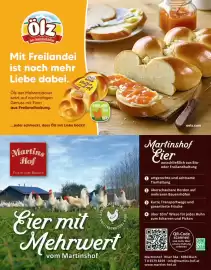 Sutterlüty Flugblatt Seite 70