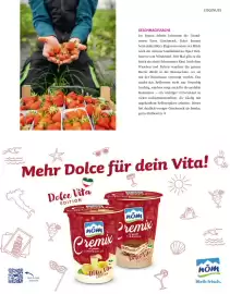 Sutterlüty Flugblatt Seite 79