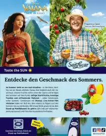 Sutterlüty Flugblatt Seite 95