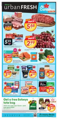Sobeys (valid until 8-07)