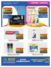 Folleto Carrefour Maxi semana 27 Página 5