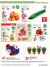 Auchan folder Pagina 31