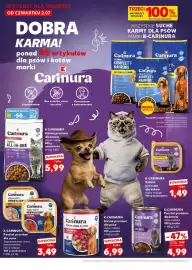 Kaufland gazetka Strona 20