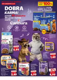 Kaufland gazetka Strona 20