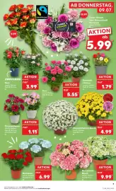 Kaufland DE folder week 28 Pagina 7