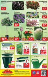 Zimmermann Prospekt woche 28 Seite 10