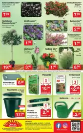 Zimmermann Prospekt woche 28 Seite 10