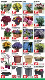 Wreesmann Prospekt woche 28 Seite 5