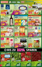Norma Prospekt woche 29 Seite 10
