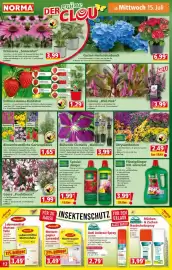 Norma Prospekt woche 29 Seite 12