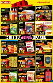 Norma Prospekt woche 29 Seite 7