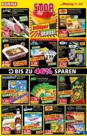 Norma Prospekt woche 29 Seite 9