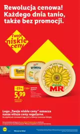 Lidl gazetka Strona 10