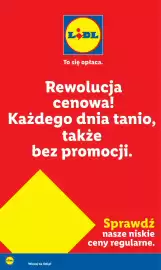 Lidl gazetka Strona 22