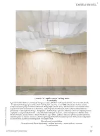 Dm drogerie leták Strana 77
