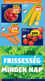 ALDI akciós újság hét 28 Oldal 10