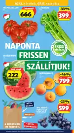 ALDI akciós újság hét 28 Oldal 21