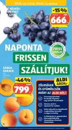 ALDI akciós újság hét 28 Oldal 33