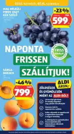 ALDI akciós újság hét 28 Oldal 33
