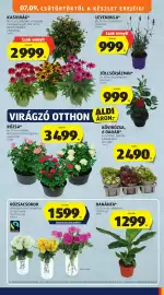 ALDI akciós újság hét 28 Oldal 45