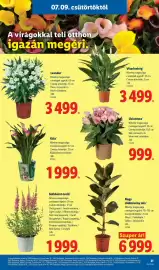 Lidl akciós újság hét 28 Oldal 21
