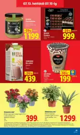 Lidl akciós újság hét 28 Oldal 65