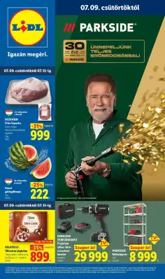 Lidl (érvényes eddig: 15-07)
