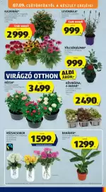 ALDI akciós újság hét 28 Oldal 5