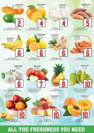 Nesto catalogue Page 3
