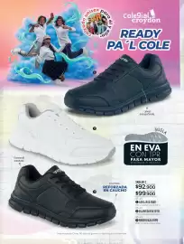 Catálogo Croydon Página 224