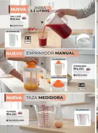Catálogo Croydon Página 242
