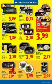 Lidl Flugblatt woche 28 Seite 13