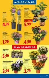 Lidl Flugblatt woche 28 Seite 27