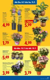 Lidl Flugblatt woche 28 Seite 27