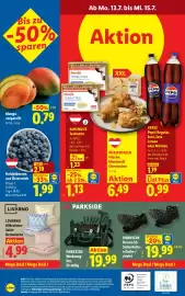 Lidl Flugblatt woche 28 Seite 30